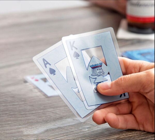 HOYLE (100% Plastic)