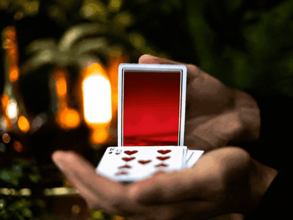 NOC LUXURY LIMITED (RUBY RED)