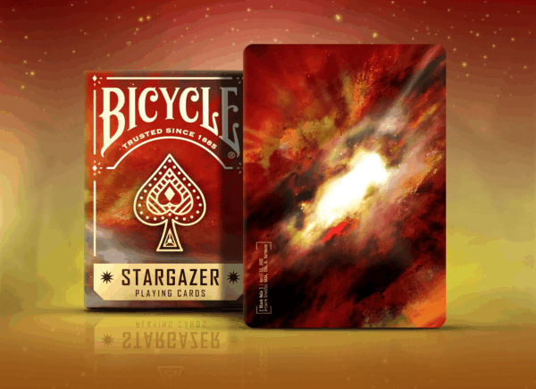 BICYCLE STARGAZER 202